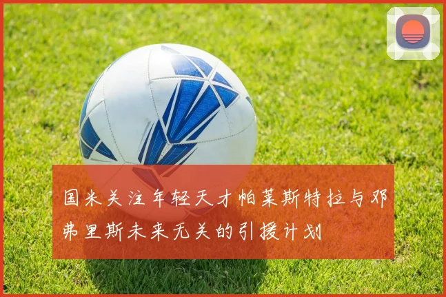 国米关注年轻天才帕莱斯特拉与邓弗里斯未来无关的引援计划
