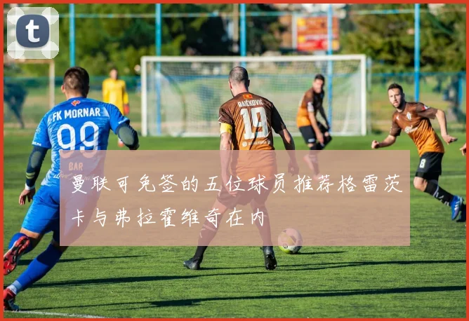 曼联可免签的五位球员推荐格雷茨卡与弗拉霍维奇在内